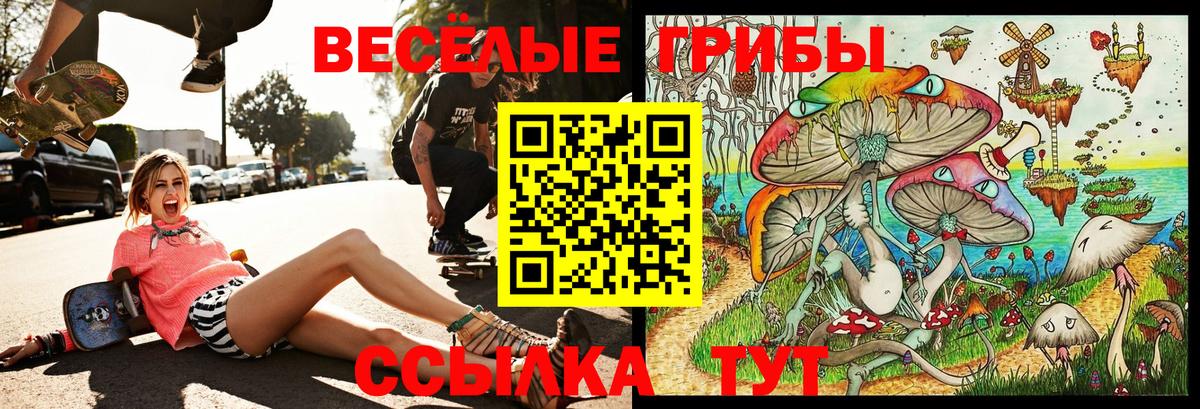 Галлюциногенные грибы GOLDEN TEACHER  Псилоцибиновые грибы мицелий  закладка  Вход с VPN  Алексин 