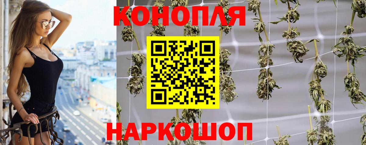 Алексин  Каннабис OG Kush  Вход с VPN  Марихуана Bruce Banner 